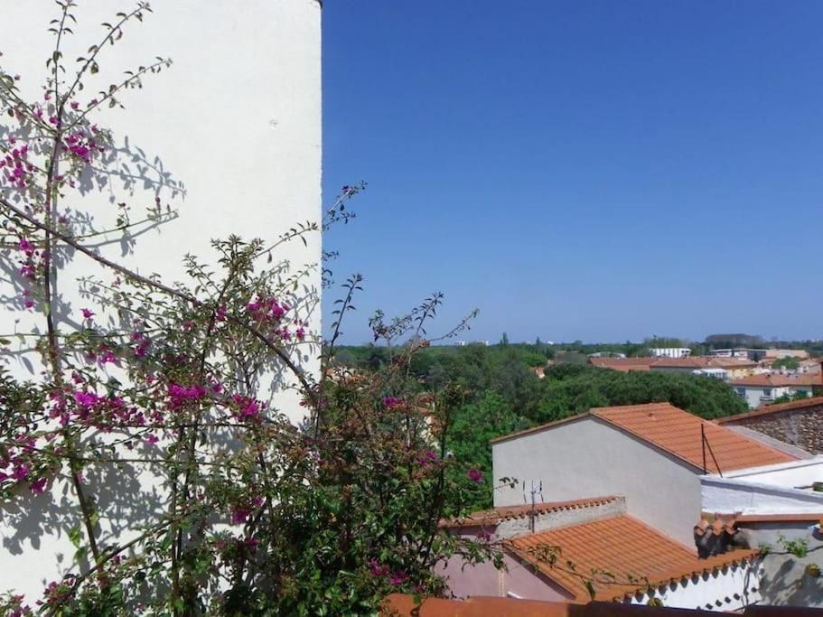 Rosella - Maison De Charme Au Coeur Du Village Argelès-sur-Mer Eksteriør billede